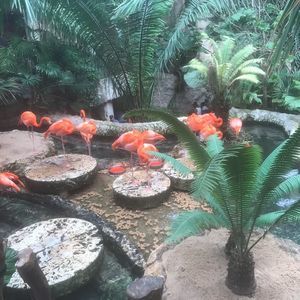 Meet your Posher, Betty